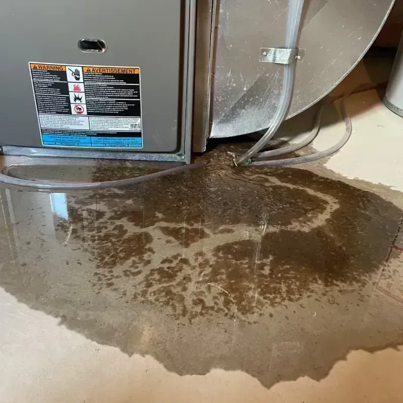 Appliance Leak Cleanup in Graham, NC